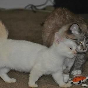 Meet your Posher, Taylor